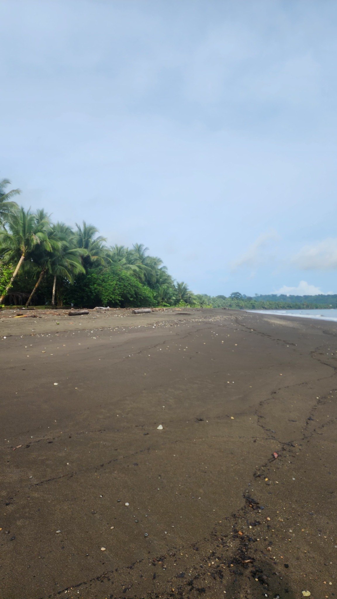 Playa en Nuquí
